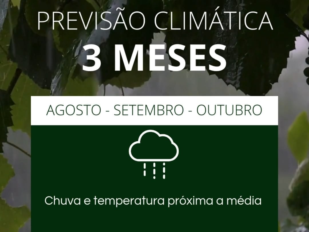 Clima em Itajaí: Chuvas Próximas à Média e Temperaturas Estáveis