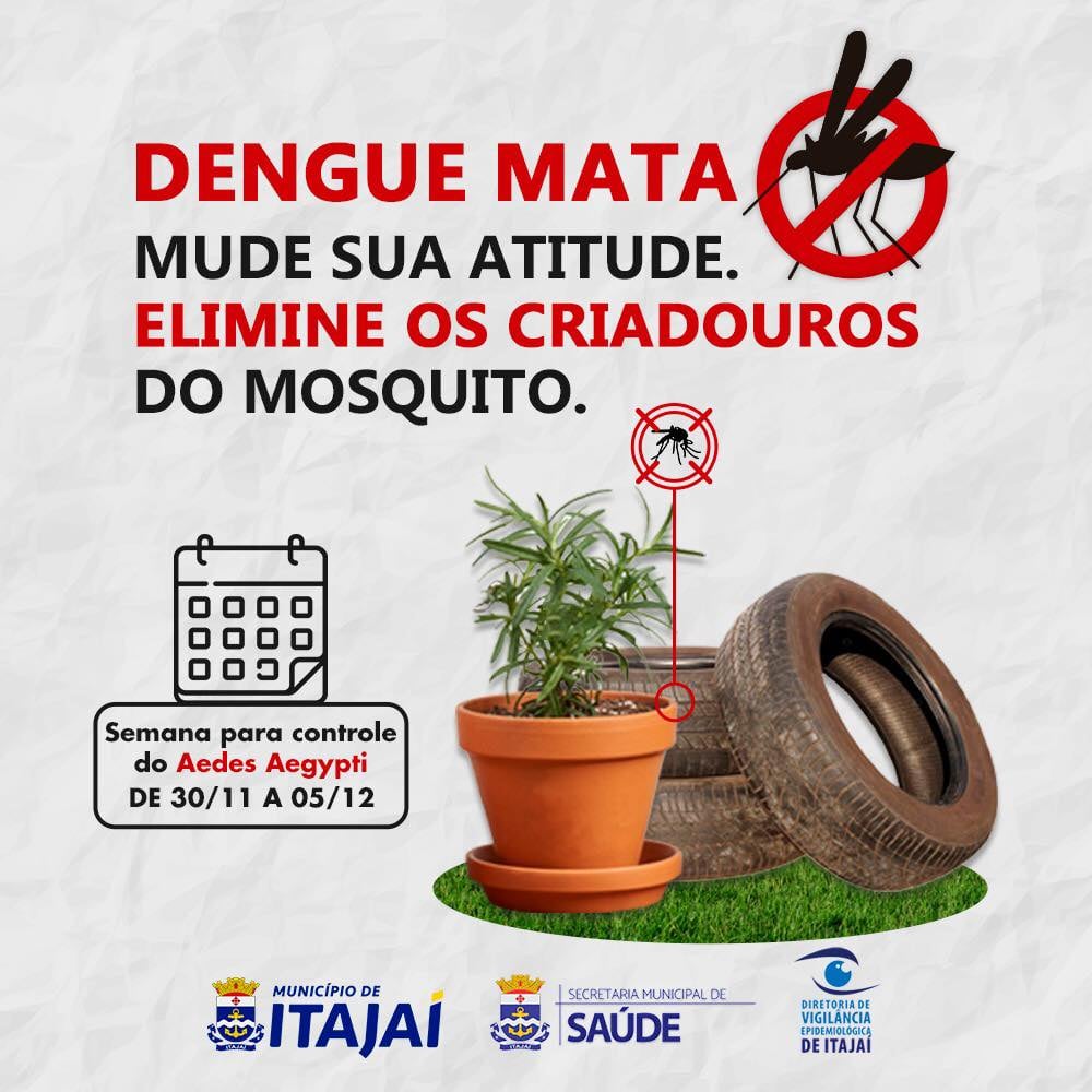 Dengue: Levantamento aponta risco médio de infestação em Itajaí